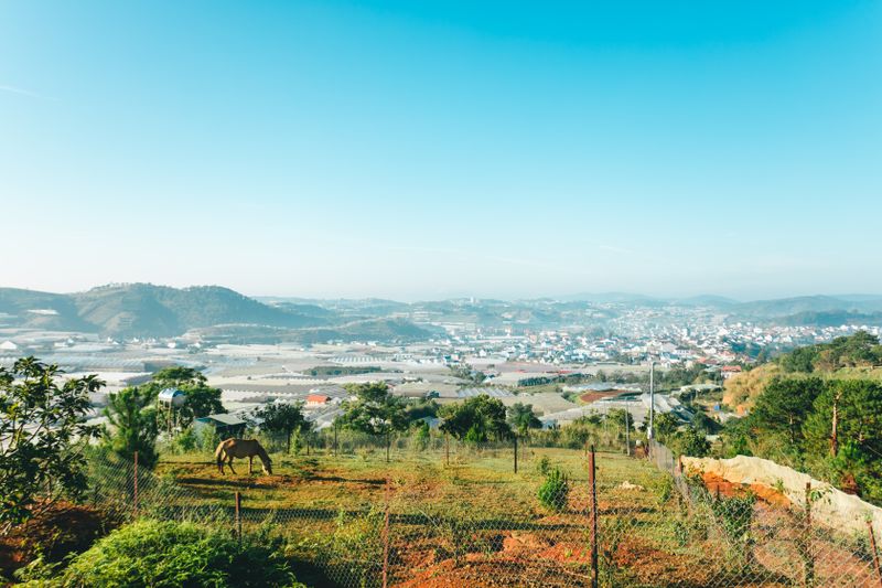 Tour Đà Lạt