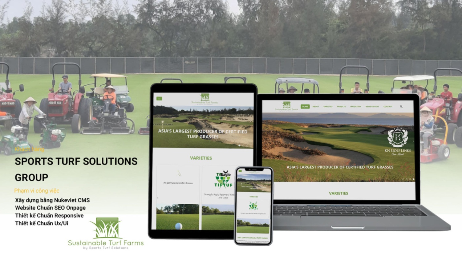 Mẫu thiết kế website chuyên nghiệp cho lĩnh vực golf