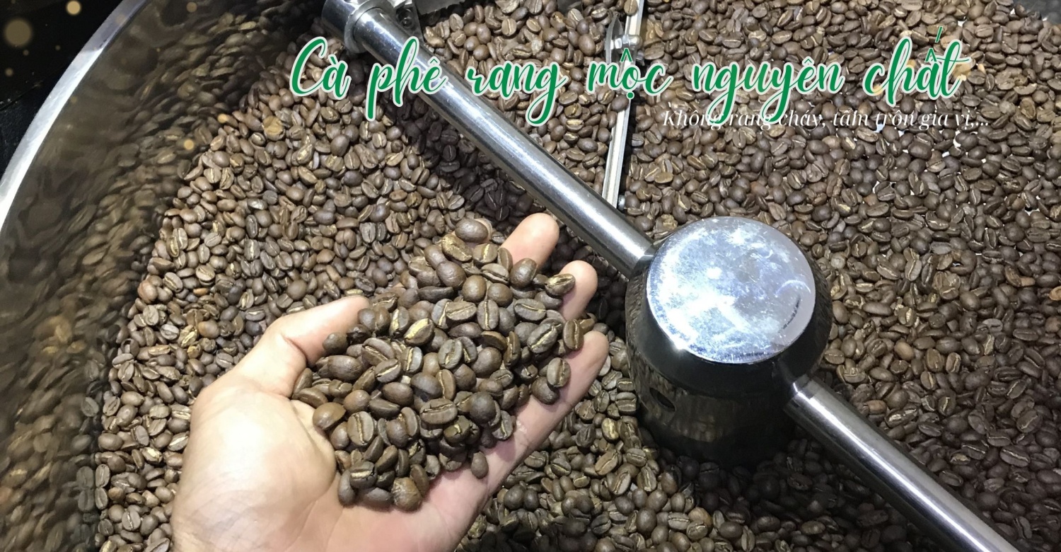 Midori coffee farm 04